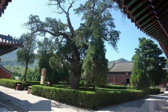 据史料记载,历史上鹊山有三清御阁,老君殿,清泉寺,兴化寺等,"有大庙七