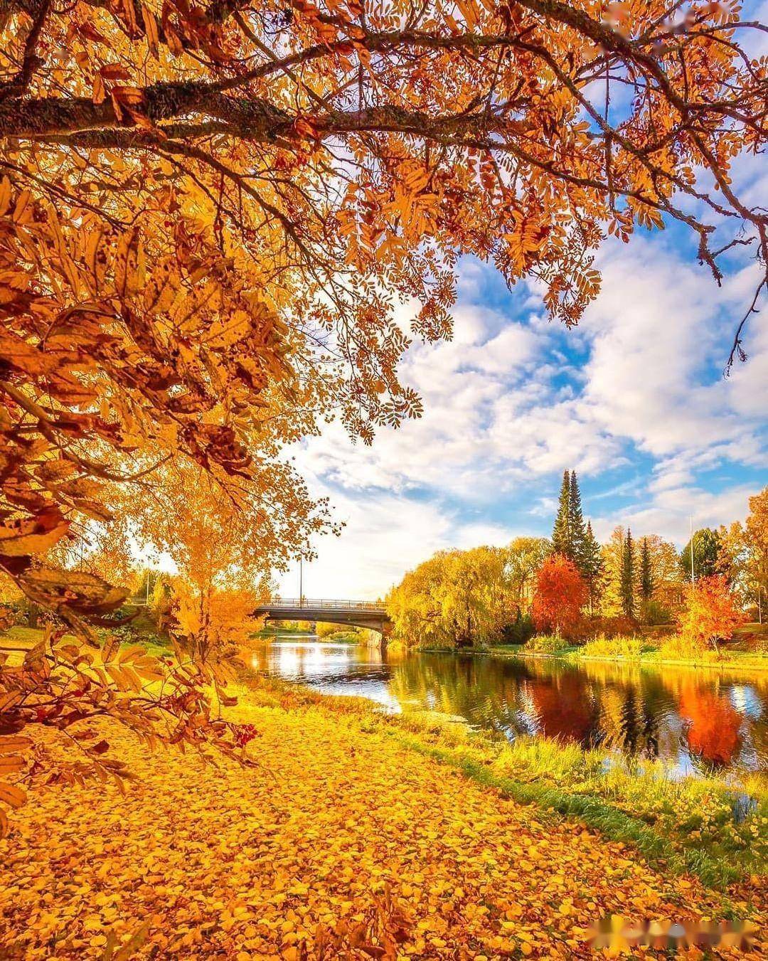 普通风景也能拍好看,这6个风光摄影技巧,新手看了就能会_画面_拍照片