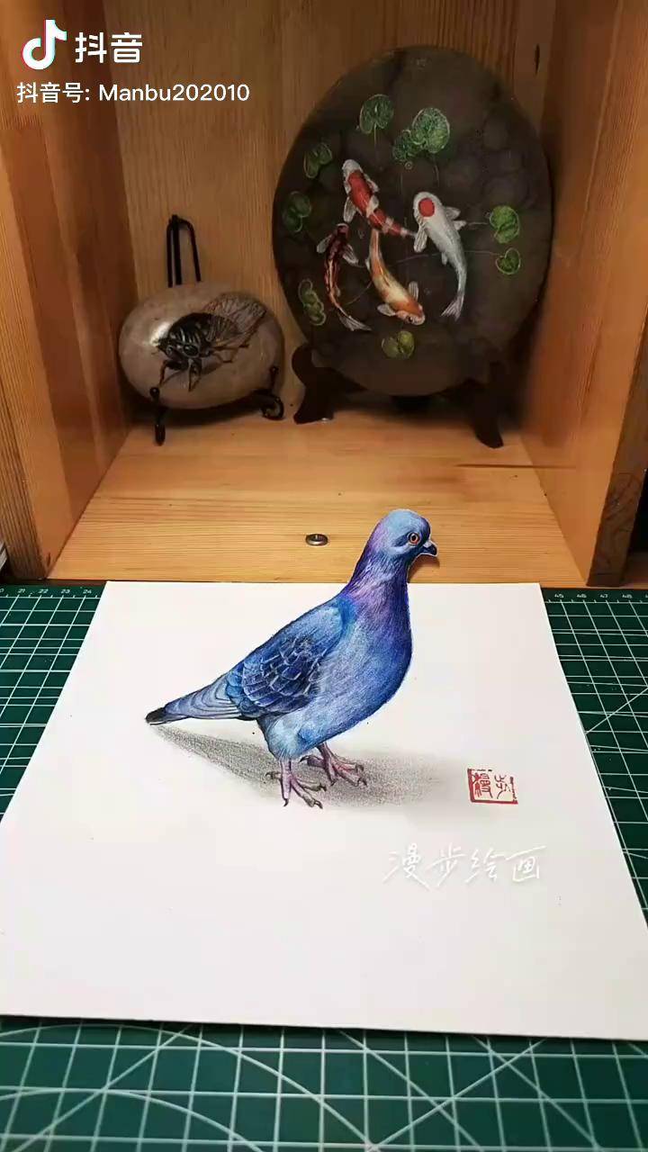 画画 彩铅 立体画鸽子