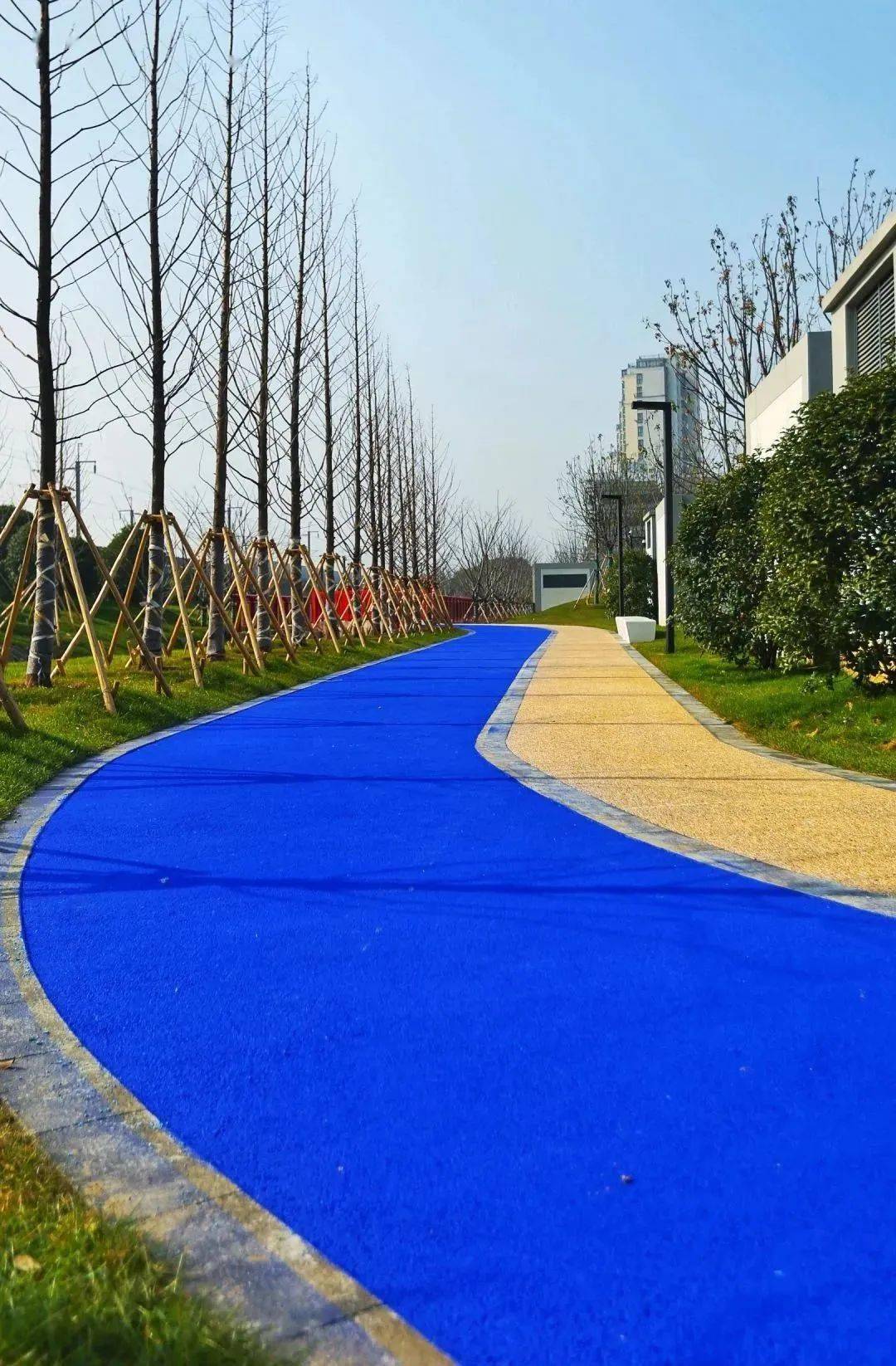 这条回家的路,铺满了彩色,绚烂了四季!_路面_环保性_公园