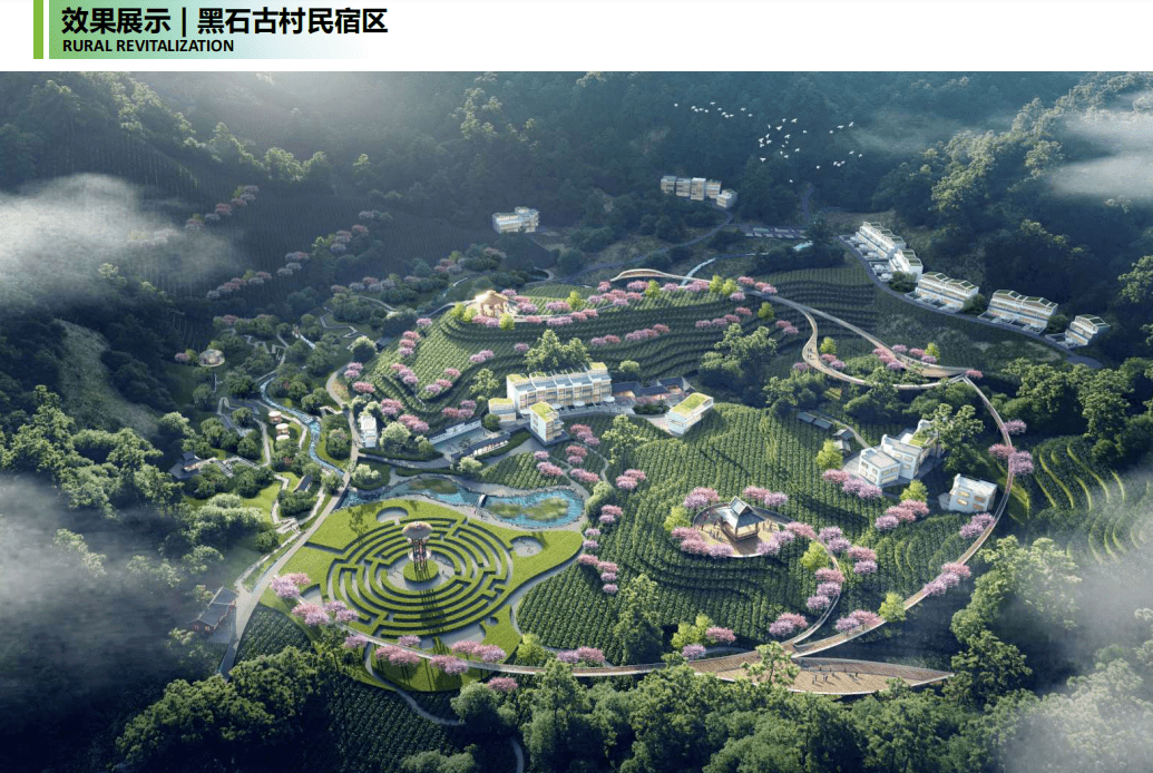 建设_六堡镇_茶园