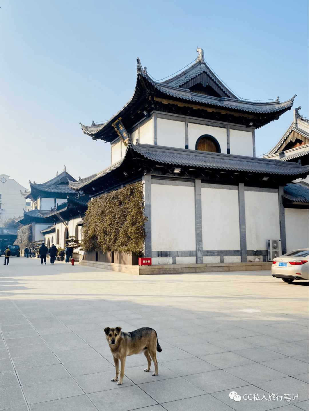 心情沉重,我拎着菜速速离开,身后传来老板娘带着哭腔的声音"我怎么去