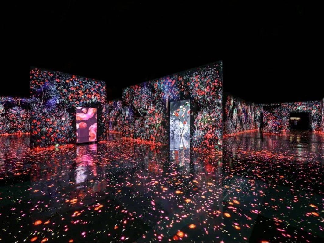 全球知名沉浸式数字艺术美术馆即将震撼呈现_成都_城市_媒体