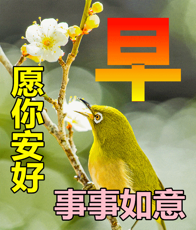 2,上天给的缘分,总是来得不早也不晚,刚刚好,茫茫人海,相识,相知,真的