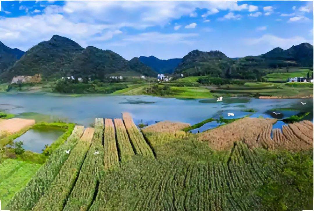 镇雄招商引资优惠政策出炉!欢迎各位老板到来!