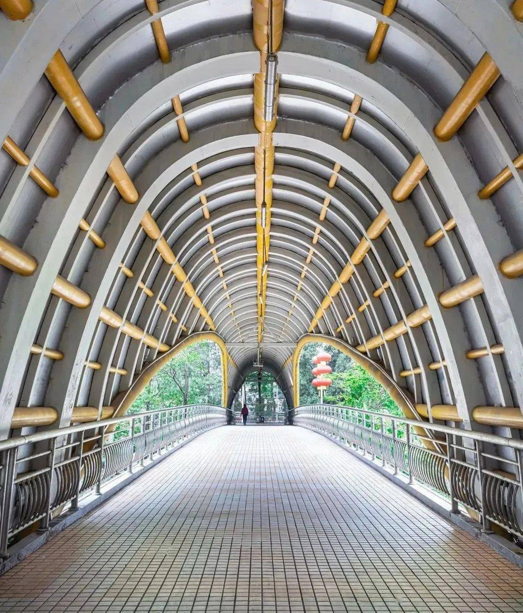 深圳这6座绝美天桥,你去过几个_公园_地址_交通