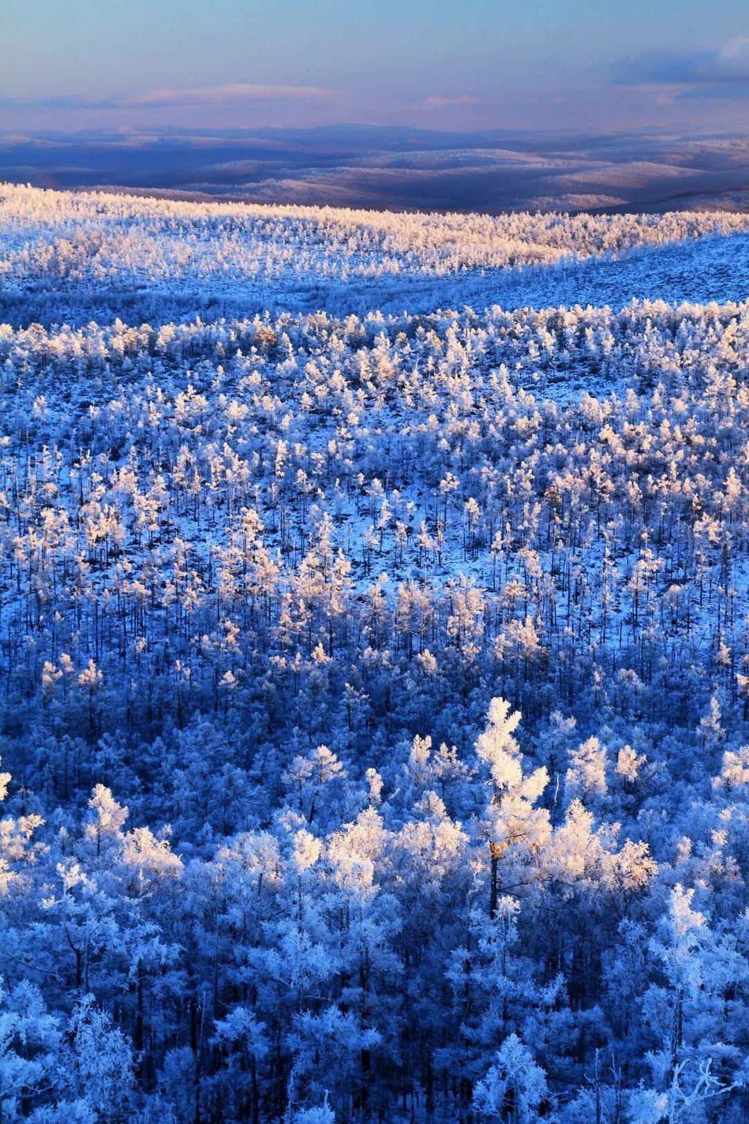 绥芬河雪景图片