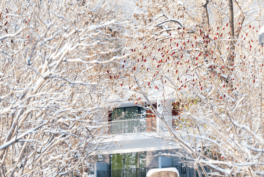 北京下雪了！长城脚下的公社山谷整包别墅8.5折，还有滑雪门票可选，抢订春节！