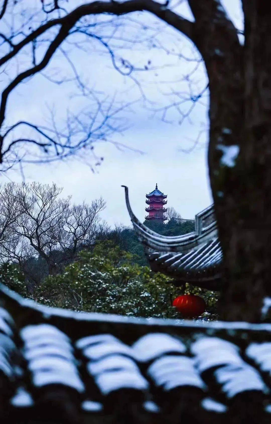 江苏无锡雪景图片