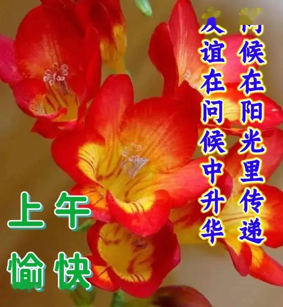 1月17日最漂亮早上好动态表情图片大全,早上好动图美图大全!