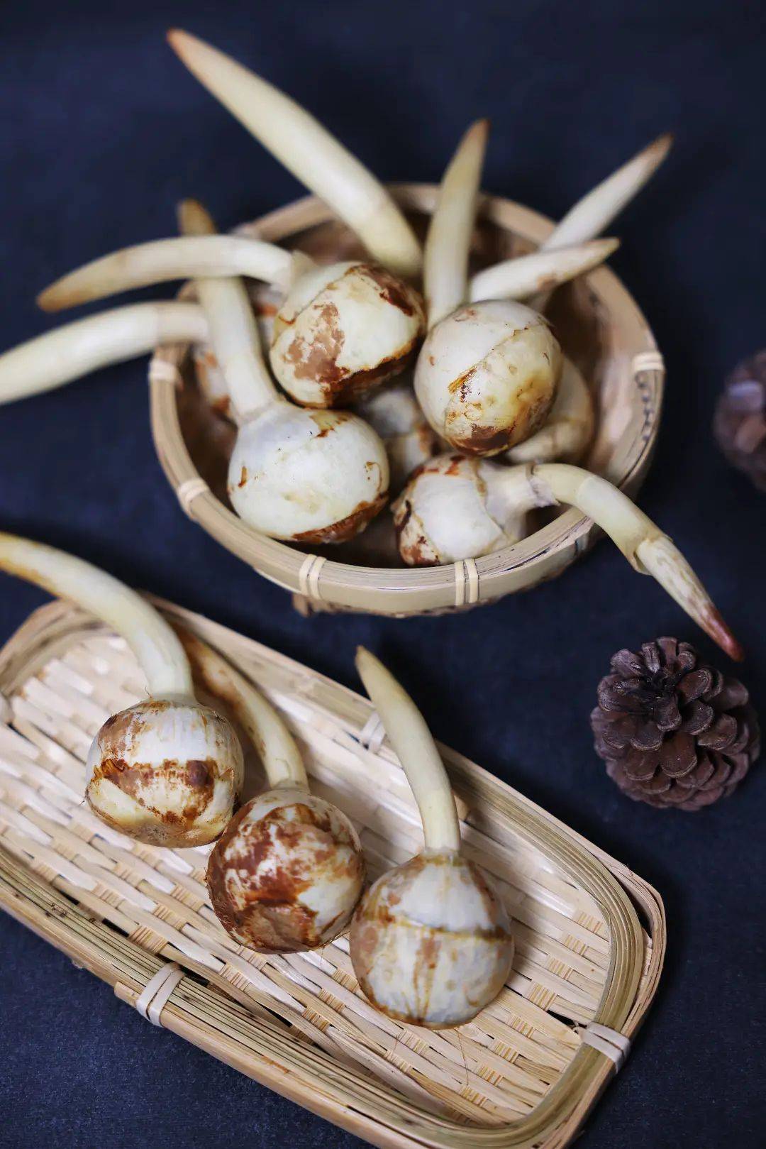 有一种滋味,叫茨菇_江南_荸荠_慈姑