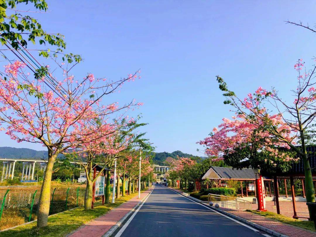 04惠州龍門縣藍田瑤族鄉上東村