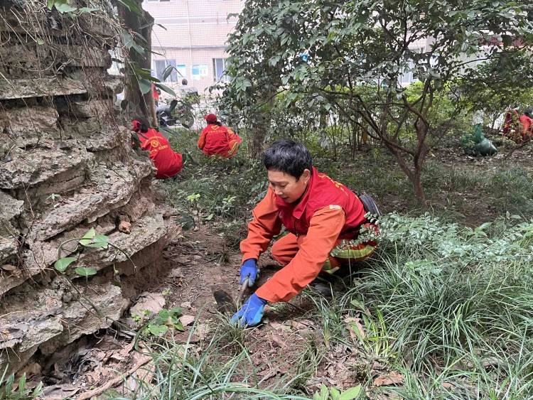 修复道路、补种绿植…… 江津“津管家”上门办事让小区情况面目一新