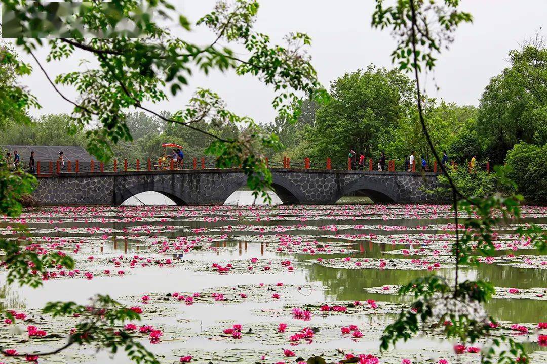 颍上旅游名片:迪沟4a级风景区