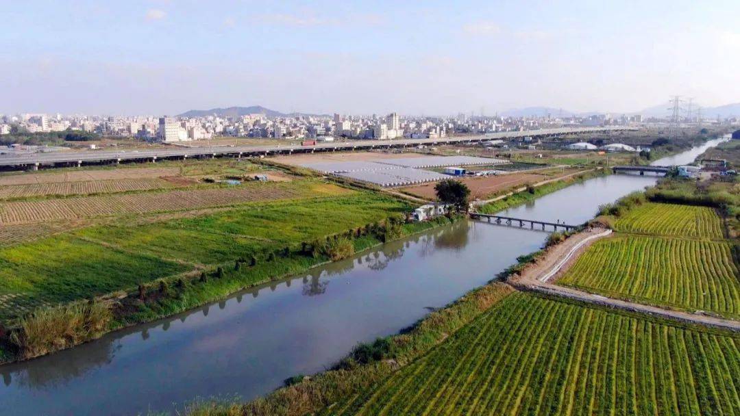 枫江深坑国考断面水质达标 综合整治取得历史性成效_流域_攻坚_监测