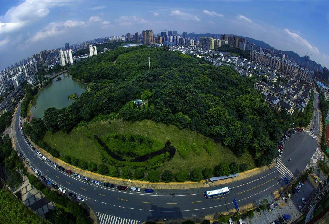 长沙麓谷街道图片