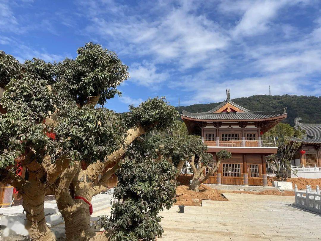 增城这个新景点春节开放!_百花_古寺_建设