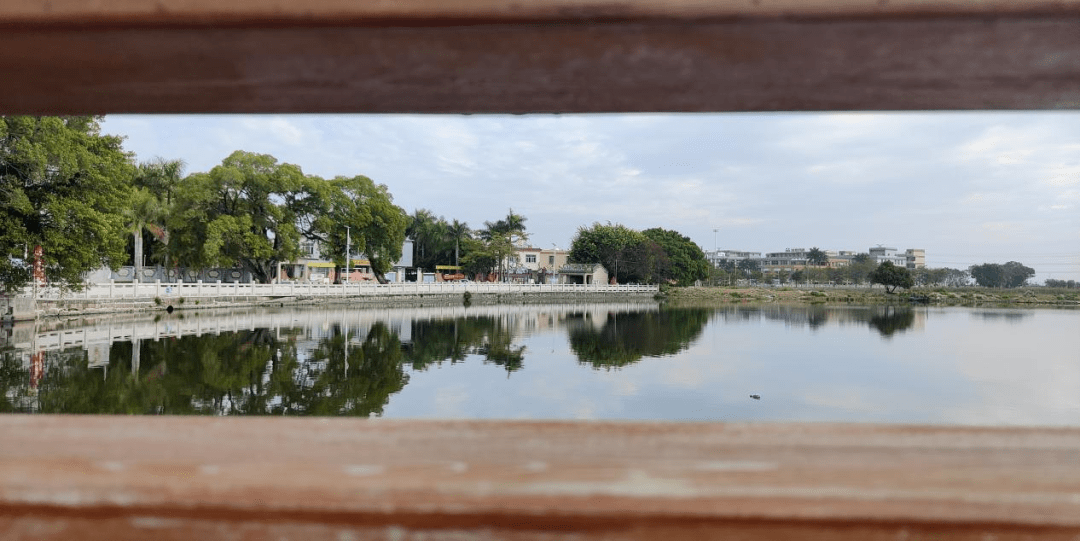 潮南成田镇春节旅游路线_田中央_文化_电影