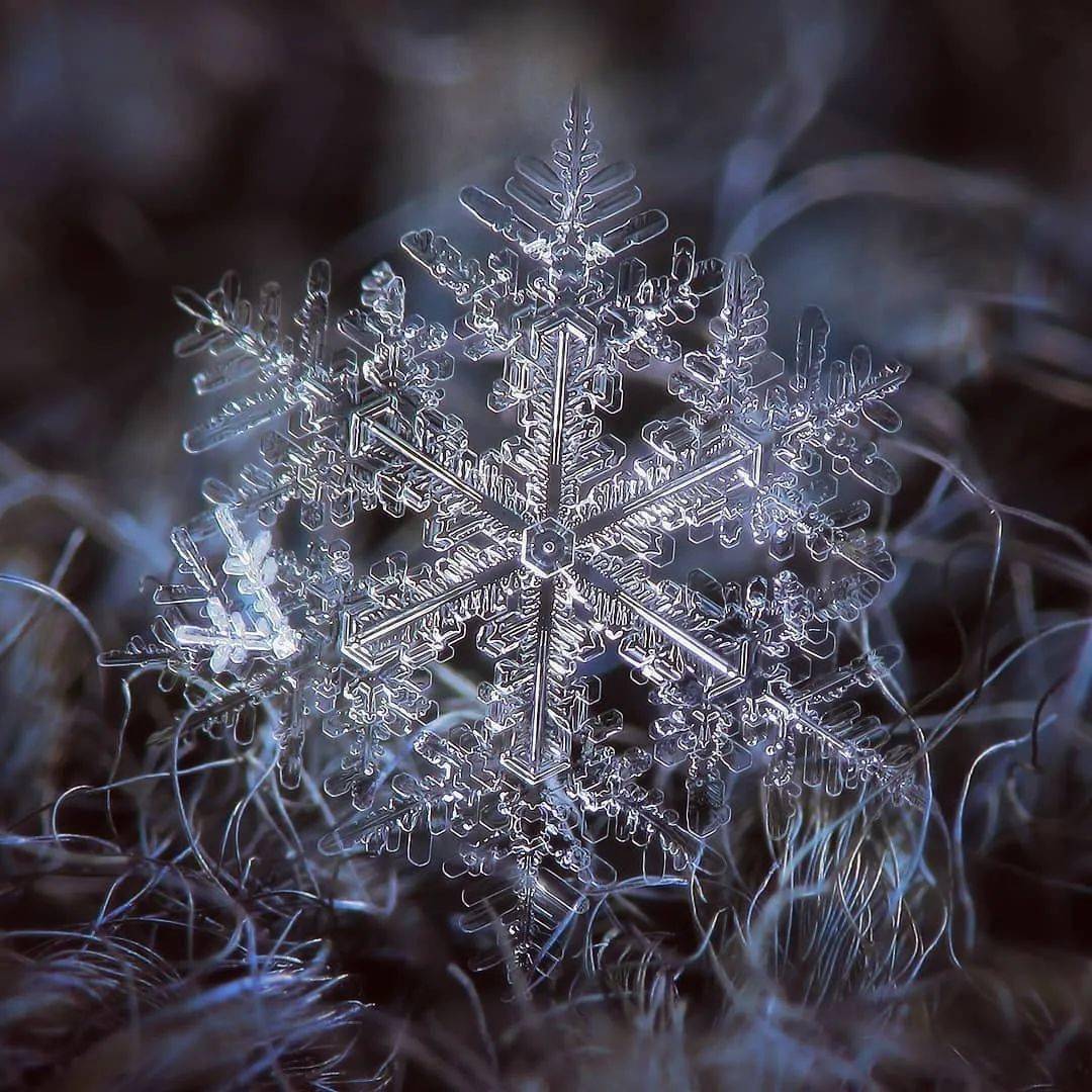 雪花图 放大图片图片