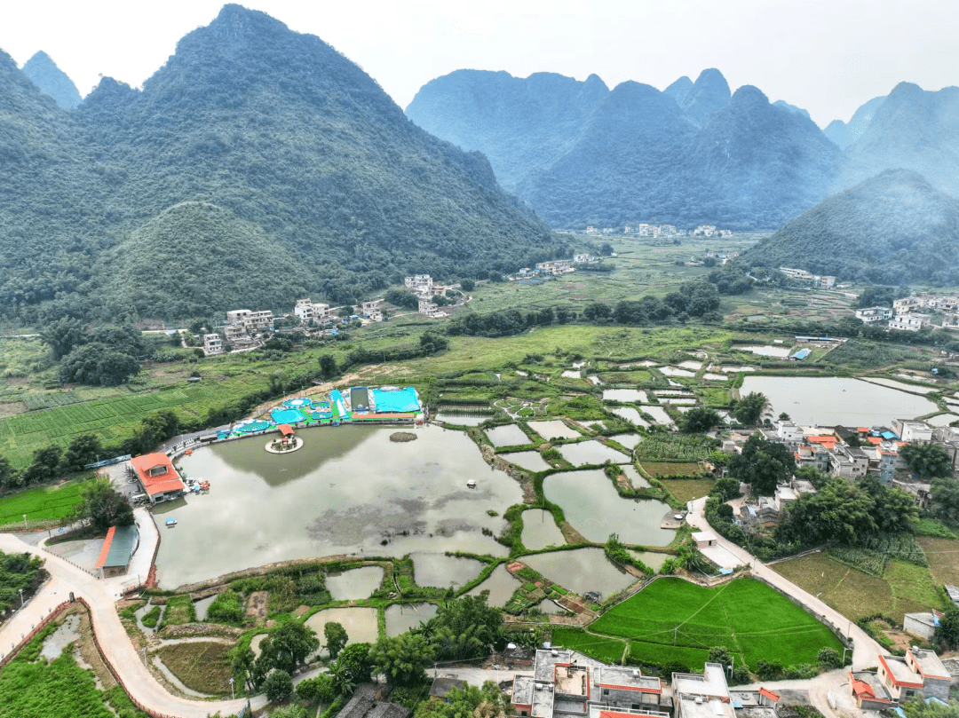 怀集县附近的旅游景点图片