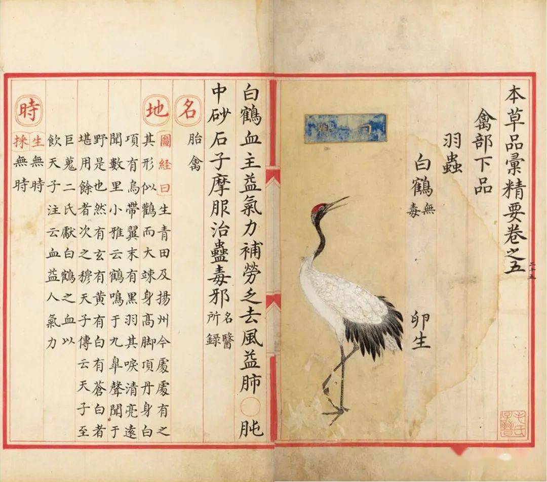 明抄彩绘珍本《本草品汇精要》_绘图_弘治_药物