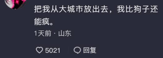 第一批胆敢带狗回老家的人，已经被狗遛疯了……