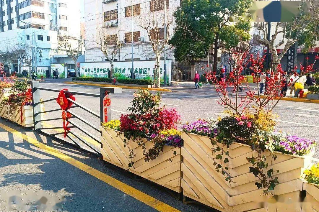 花箱花境上新布景!