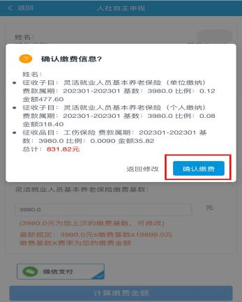 6.确认缴费信息并支付 三缴费记录查询四证明开具