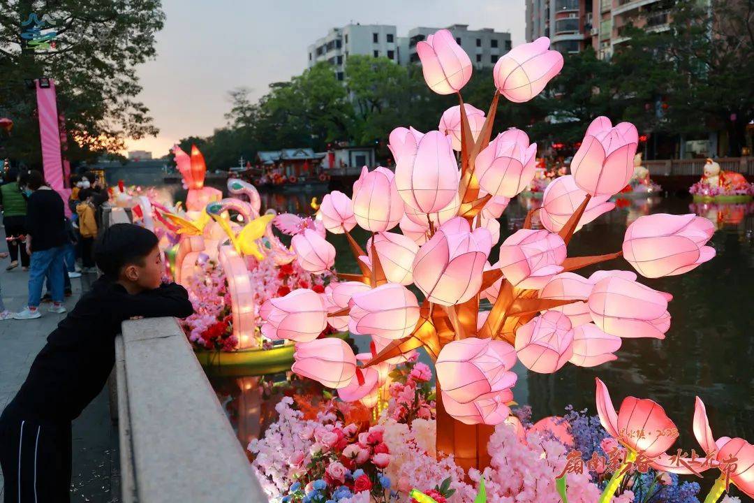 南海芳菲，已入佳期！各色花海打卡指南→