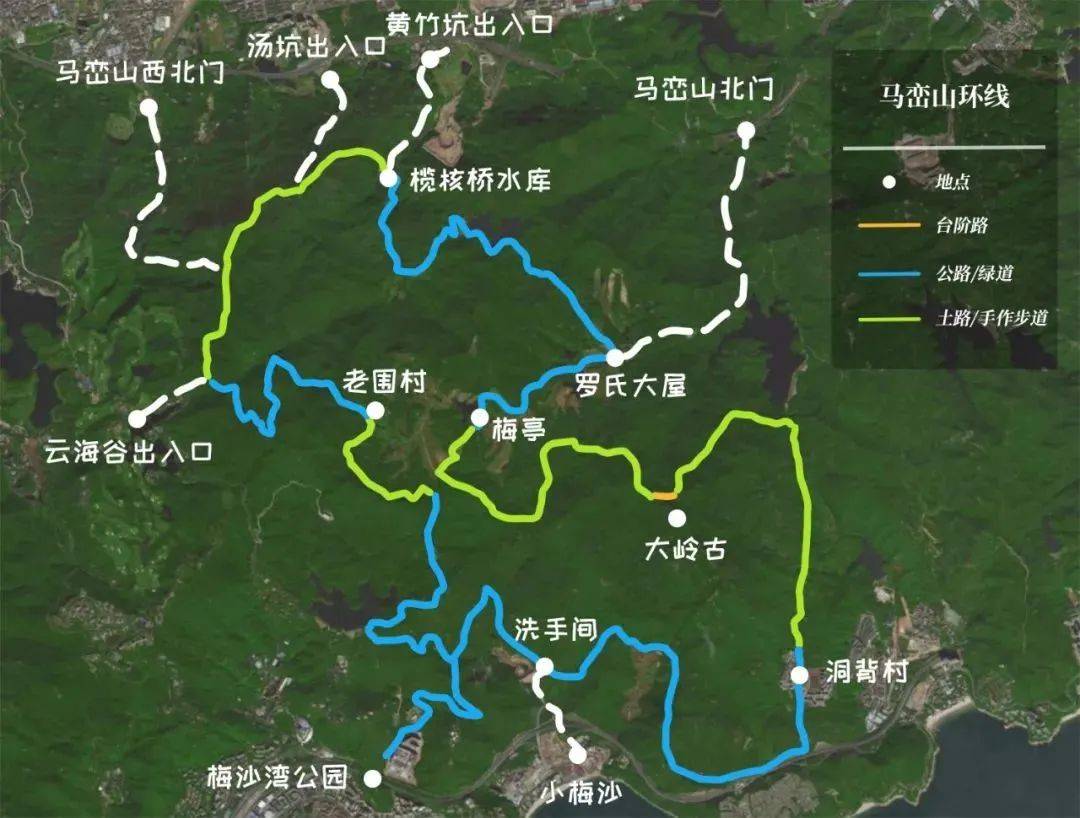 步履不停,前"兔"似锦丨春节去打卡坪山远足径郊野径82.