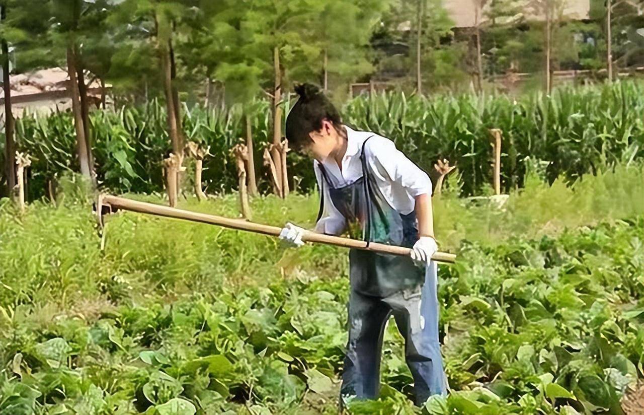 干农活照片背影图片