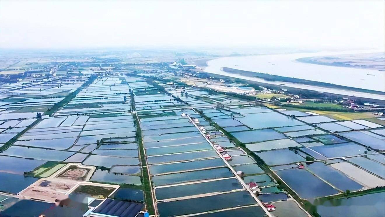 拥有甲鱼专养(精养),鱼鳖混养的水产健康养殖核心示范场(基地)23家