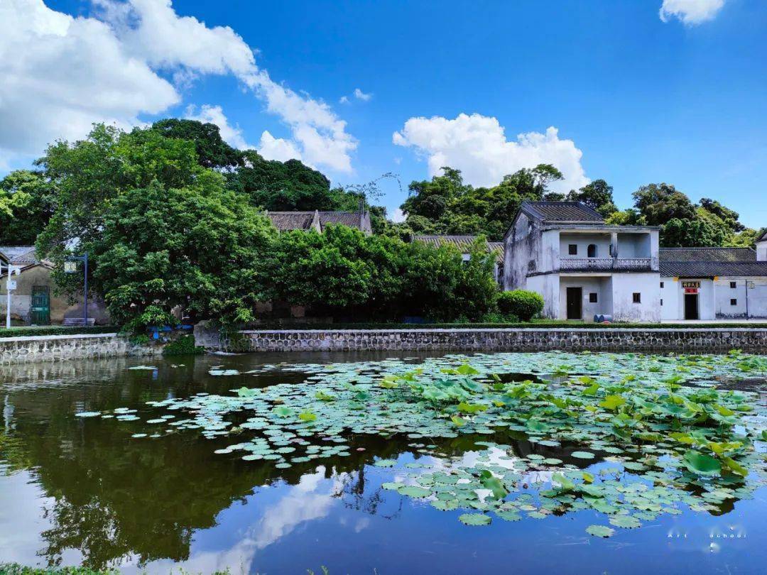 坝光社区盐灶古村始建于明朝有着上百年的历史坐落在深圳东部的这个