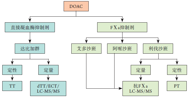 ·Ѫ˨ҩسѪ14ƹ淶