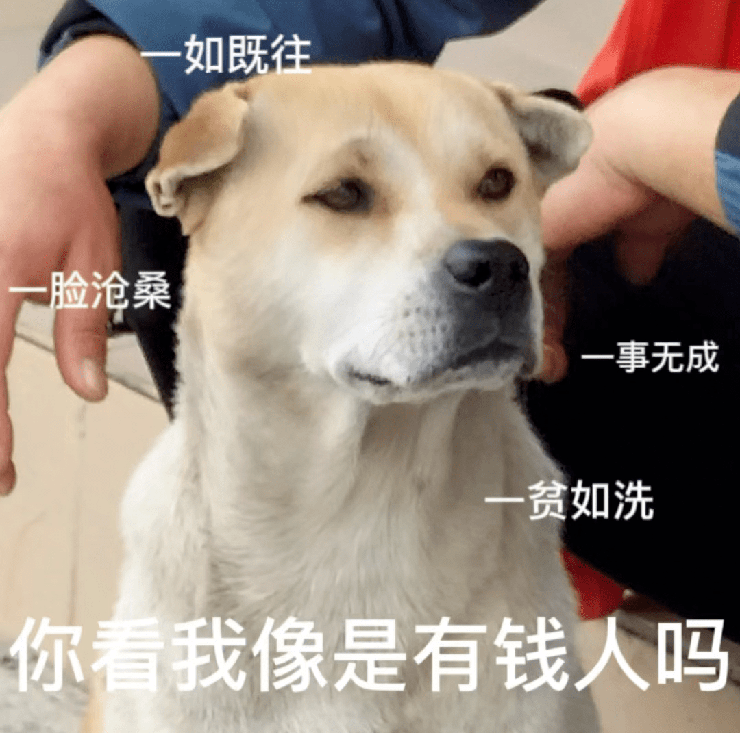 表情包丨太坏了 准备更坏_时候_什么_朋友