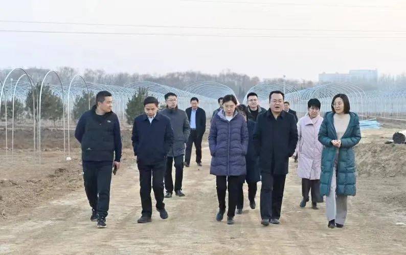 【今日发布】县委副书记李小雪一行到汶上街道督导乡村振兴示范区建设