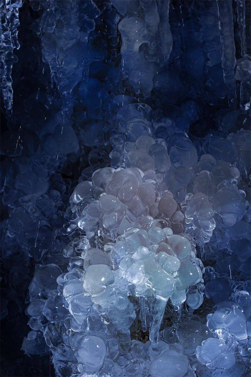 孙海:冰凝雪积_生命_世界_大兴安岭