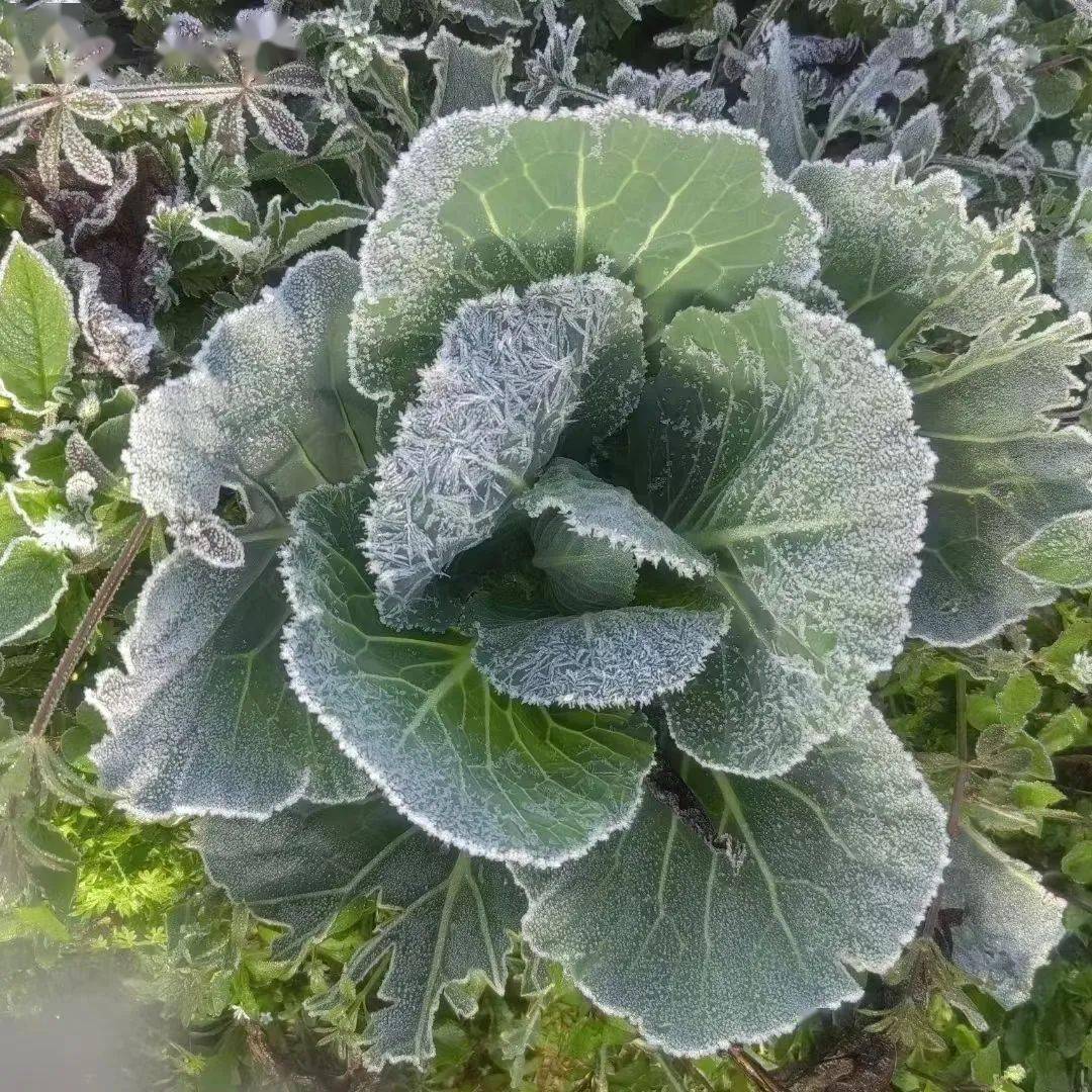 罗定晴天天气告急!将迎来雨水雾水、回南天……_搜狐网