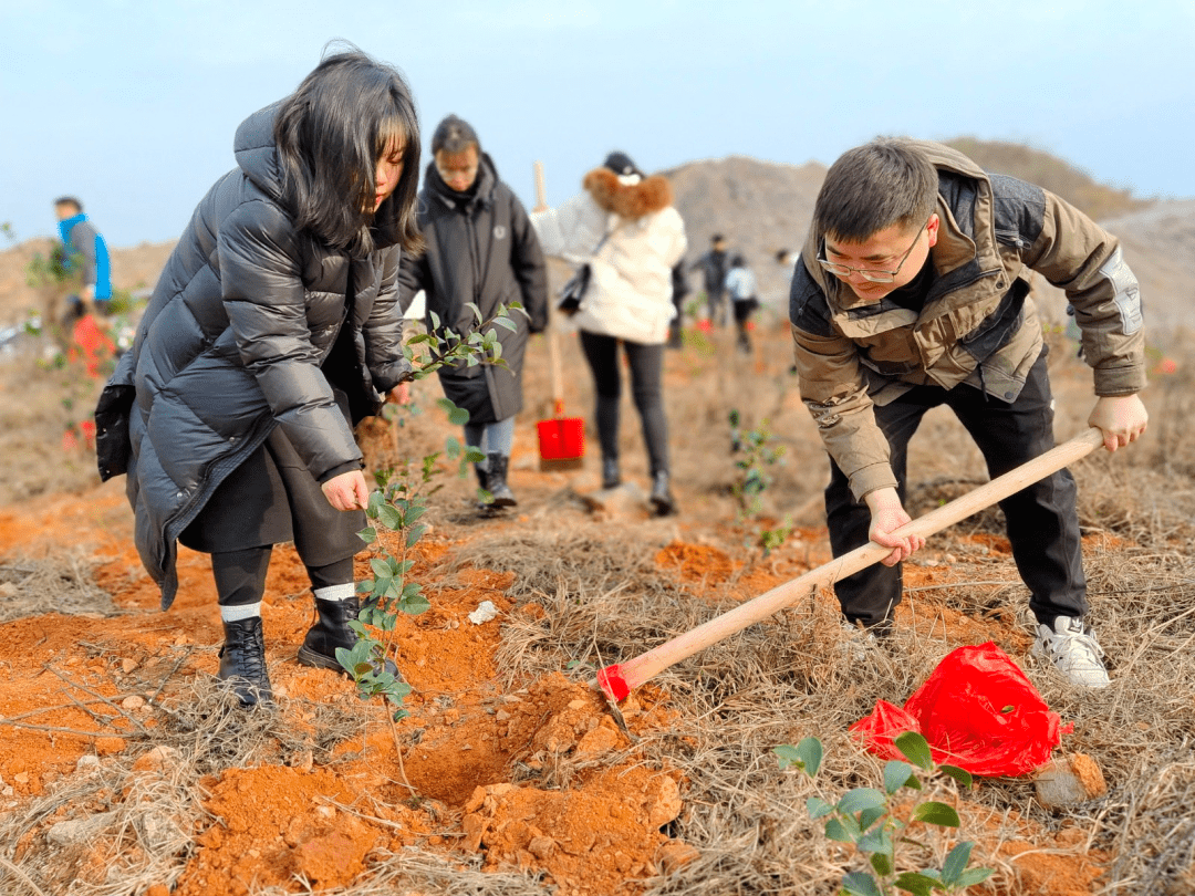 关于植树节的照片图片