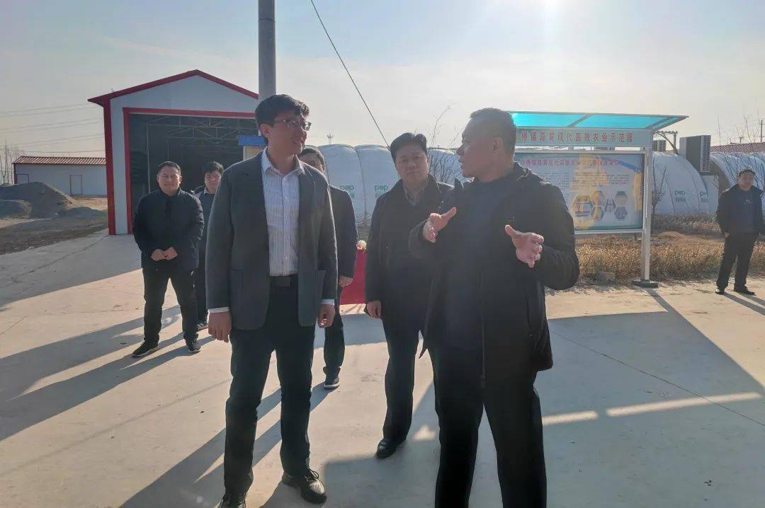 副县长王鹏到白桥镇调研农业重点项目_发展_蒜黄_产业