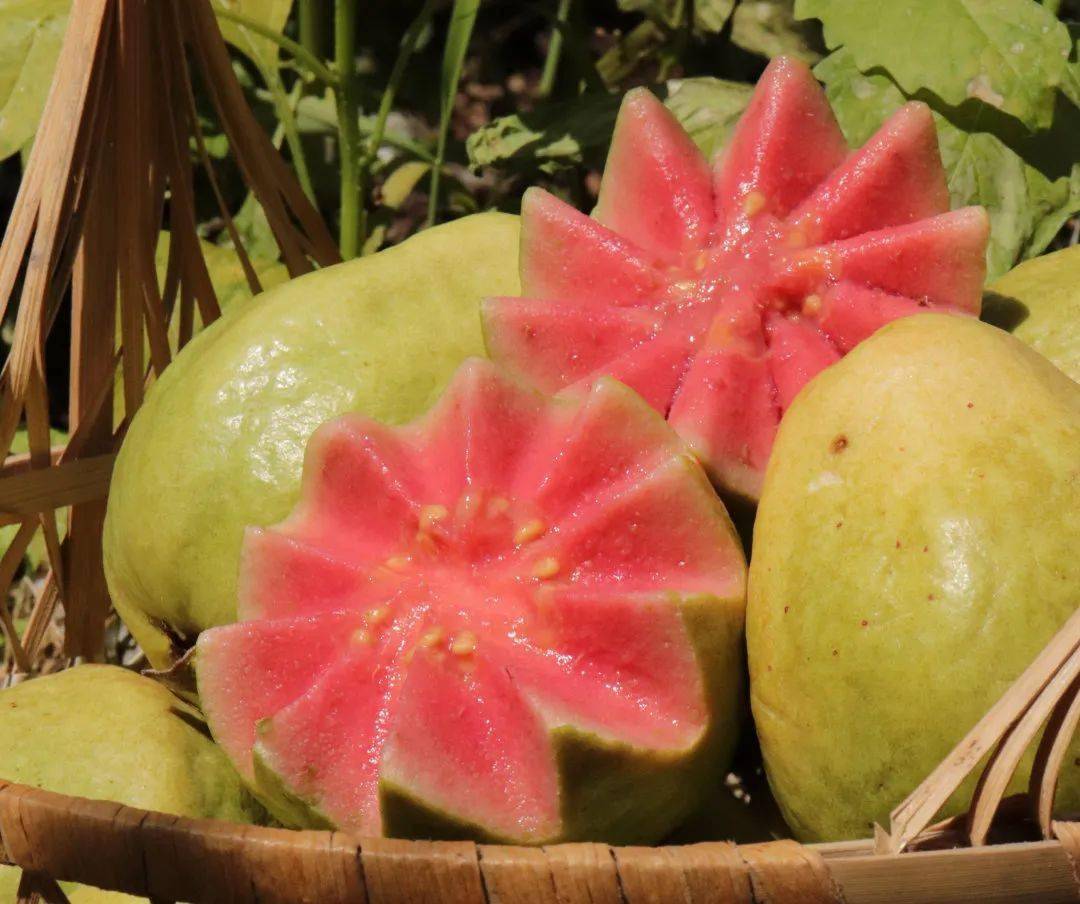 奶油芭乐 草莓红心芭乐,软糯果肉,流蜜就像在吃炼乳!_水果_口感_广西