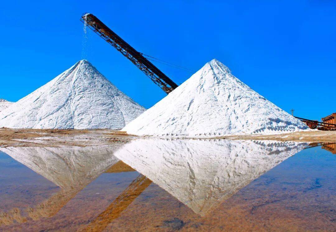 【企业文化质量提升年】变革 突破 卓越——中盐内蒙古化工企业文化