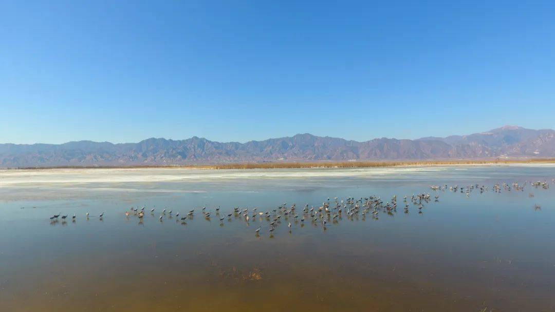 世界级！浙江再添1处国际重要湿地