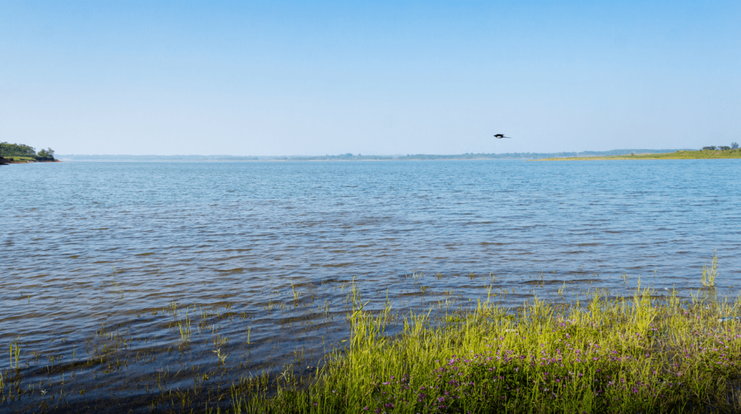 世界级！浙江再添1处国际重要湿地