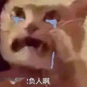 小猫咪也是会黑化的!丨第604期猫咪表情包_侵权_网络_图片