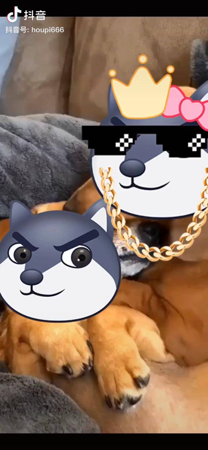 用狗头表情包做出的游戏有多魔性?