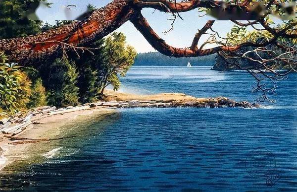 卡罗尔·埃文斯carol evans加拿大当代女水彩画家以画风景水彩为主的