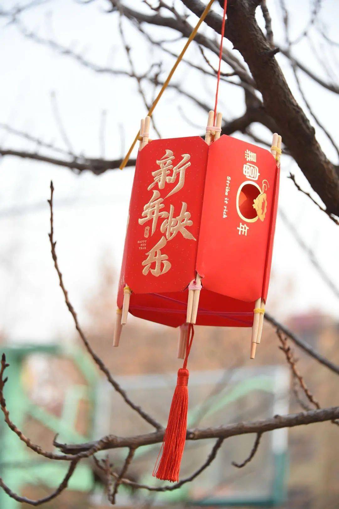 前教室黑板上一句句欢迎话语一幅幅迎新图画一串串火红的兔年灯笼