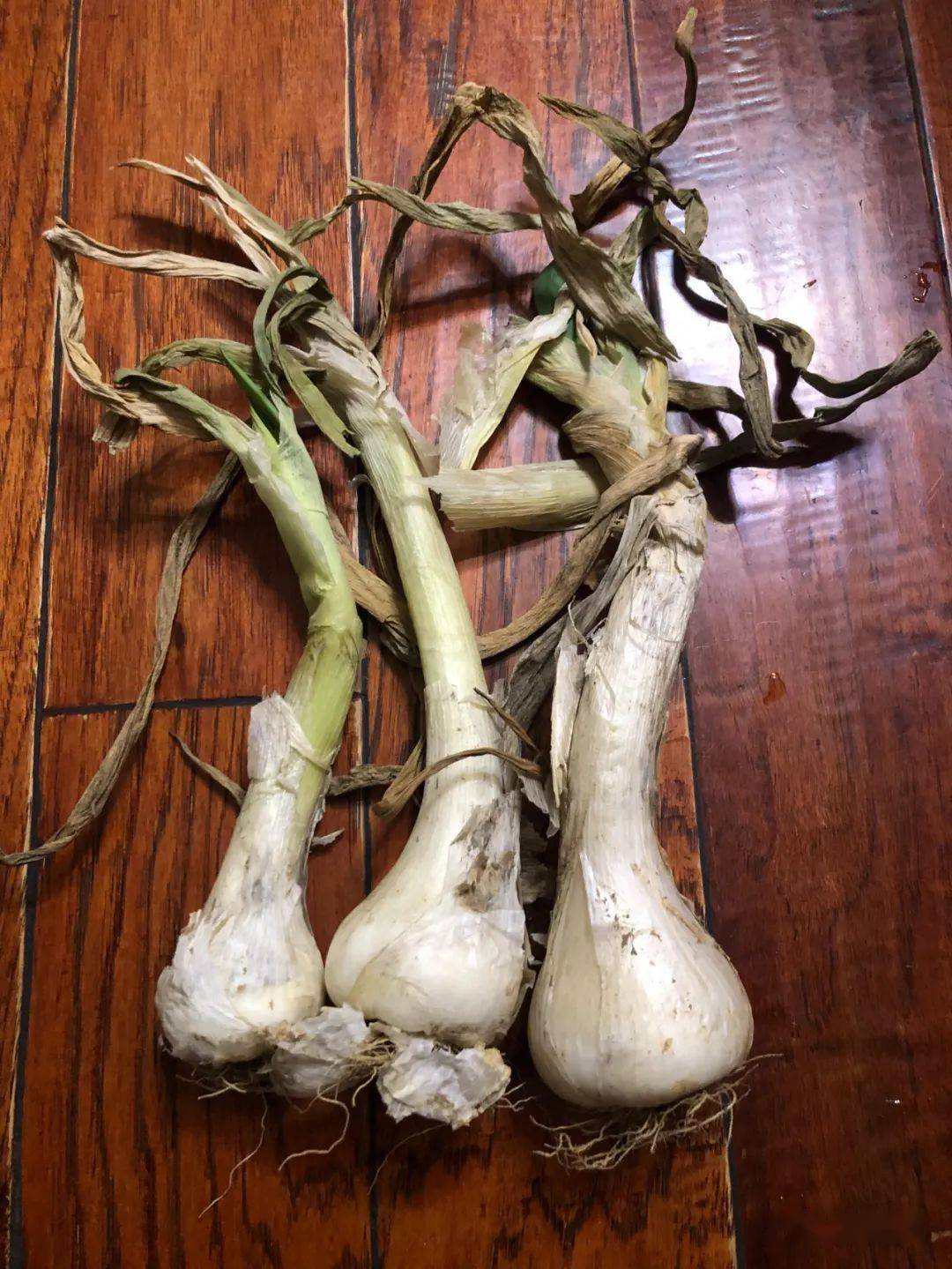 "隆尧鸡腿葱"或许是缺少了宣传67才卖这价?