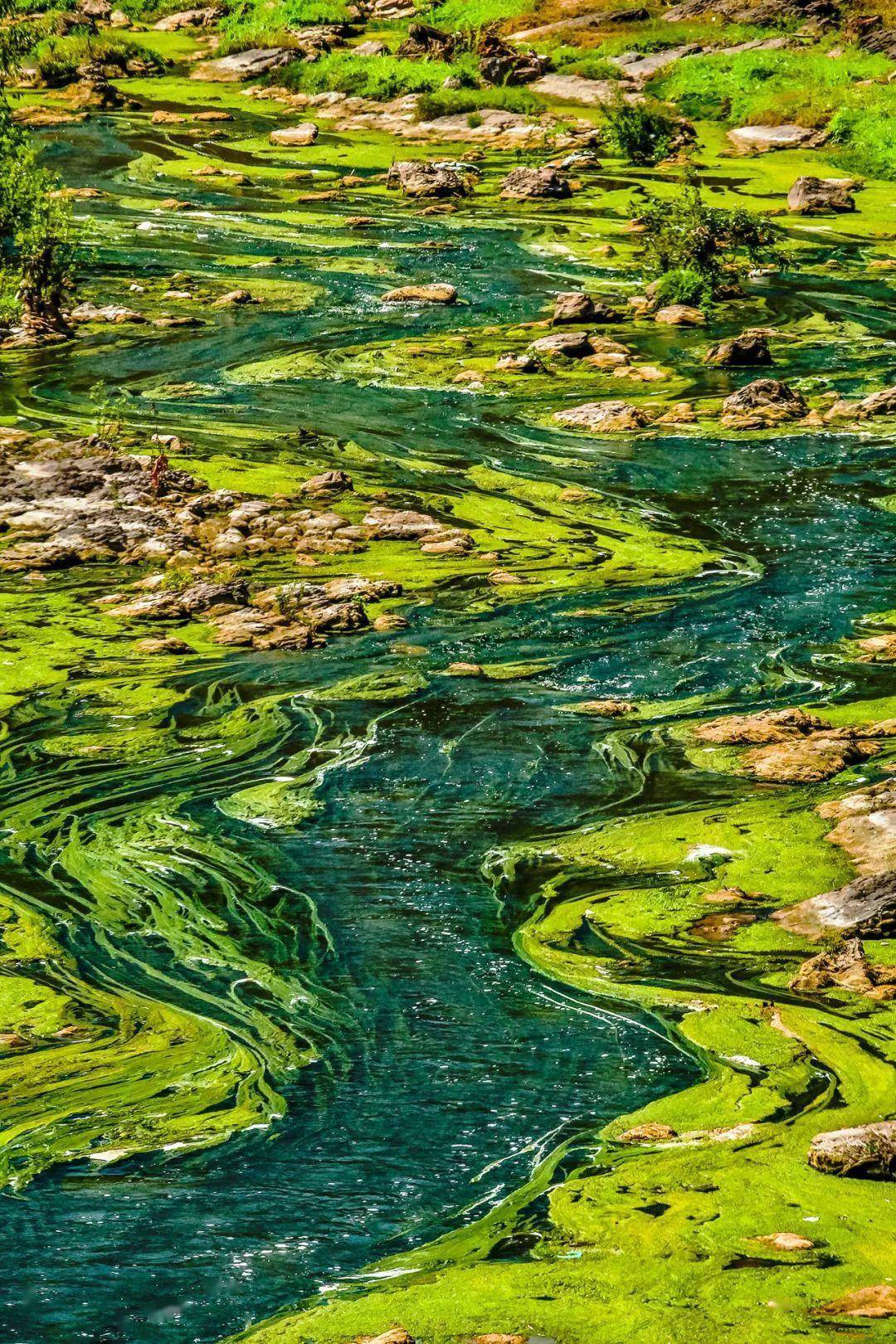 虽然江河极少因为严冬到来而封冻,立春的到来依旧为长流不息的江水带